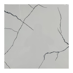 Azulejos de Cerámica Vitrificados Modernos de 60x60 CM, Brillantes, Antideslizantes, Resistentes al Desgaste, para Uso en Hoteles, Proveedor de Exportación de India - Product Image 1