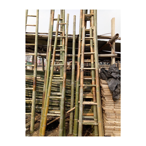 บันไดไม้ไผ่รักษ์โลกสำหรับการก่อสร้างและการเกษตรที่ยั่งยืน - Product Image 3