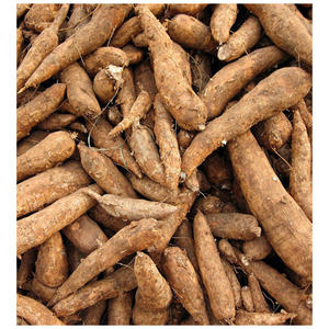 Almidón de Tapioca - Harina de Yuca - Polvo Blanco - Mejor Precio - Product Image 5