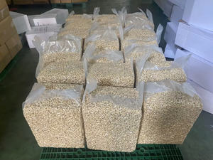 Noix de cajou Riche en nutriments Goût irrésistible de qualité vietnamienne pure Prix compétitif - Product Image 2