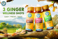 VINUT TRUST Shot de gingembre pour stimuler l'immunité, boisson de 30 ml au gingembre, miel et citron, goût épicé pour adultes