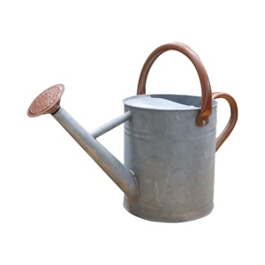 Arrosoir en acier galvanisé durable avec bec long en cuivre amovible et deux poignées ergonomiques pour l'intérieur - Product Image 1