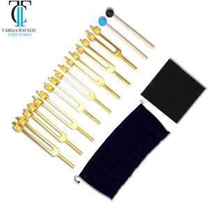 Nuevo Equipo de Diagnóstico Médico Avanzado con Diapasón, TARIQ CRAFTED INDUSTRIES - Product Image 1