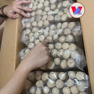 Bâton à mâcher durable en bois de café pour chiens de taille moyenne et grande, vente en gros - Product Image 6