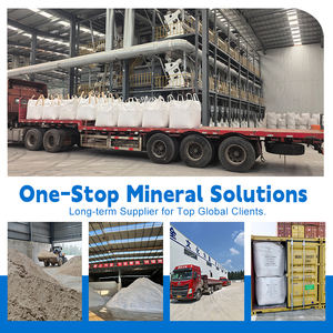 Poudre de wollastonite de haute pureté Prix de la wollastonite aciculaire à 200/325 mailles Wollastonite pour revêtements de remplissage en céramique et plastiques - Product Image 3