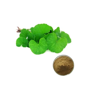 Polvo de Hoja de Centella Asiática Deshidratada al por Mayor, Superalimento Verde para Bebidas Detox - Product Image 4
