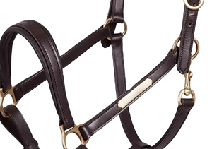 Top Quality Equestrian Premium English Leather Adjustable Horse <b>Halter</b> with Brass Hardware for Horse Riding Equipment - Product Image 4