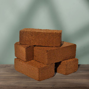 Bloques de Turba de Coco Orgánica Premium con Fibras Lavadas para Exportación en Empaque Comprimido para Compradores - Product Image 5