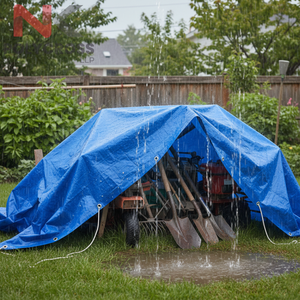 Bâche de jardin en plastique résistante aux déchirures et imperméable, grande taille, pour protection contre la pluie - Product Image 6