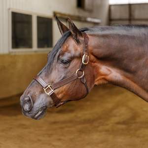 Cabestro de Cuero Suave para Caballo, Ajustable, Cómodo, Hecho a Mano, para Uso en Establos y Exposiciones - Product Image 5