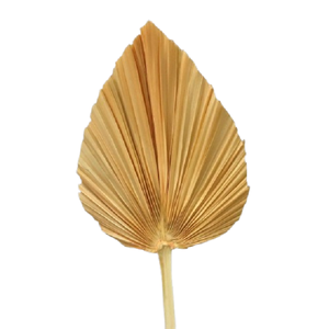 ใบปาล์มตกแต่งธรรมชาติ ADVAITH สำหรับตกแต่งดอกไม้และพืช - Product Image 5