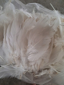 Plumes de canard blanches de haute qualité du Vietnam, lavées, motif uni, meilleur prix pour l'exportation Viet Seafarm - Product Image 5