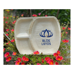 Platos de Hoja de Palma de Alta Calidad para Carga en Contenedores |   Vajilla biodegradable de calidad de exportación de Vietnam - Product Image 1