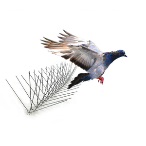 Pointes en acier inoxydable pour l'extérieur, kit de clôture <span class=keywords><strong>anti</strong></span>-pigeons pour éloigner les oiseaux, les <span class=keywords><strong>corbeaux</strong></span>, les <span class=keywords><strong>pics</strong></span>-bois des toits et des rebords de fenêtres - Product Image 2