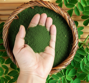 Polvo de Hoja de Moringa Orgánica 100% Puro y Natural, Extracto Soluble en Agua, Superalimento, Malla Fina, Proveedor a Granel, Exportación desde Odisha, India - Product Image 3