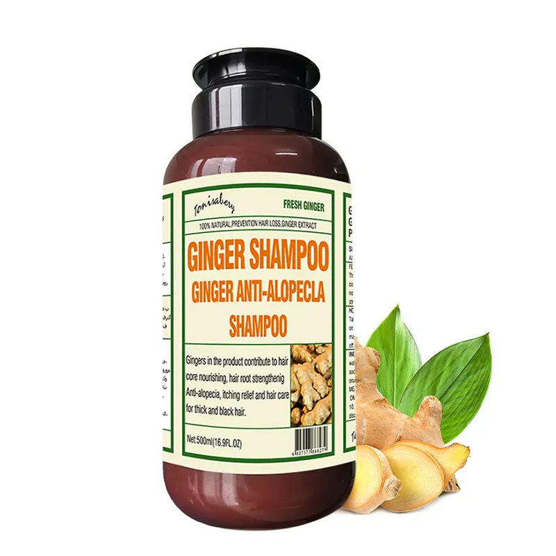 Shampoo de gengibre TONISABERY 500ML OEM/ODM, shampoo de cabelo orgânico natural de ervas para crescimento de gengibre