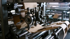 Suministro al por Mayor de Contenedores Desechables para Alimentos, Resistentes a Grasa y a Fugas, para Comidas de Arroz y Servicios de Entrega de Alimentos - Product Image 5