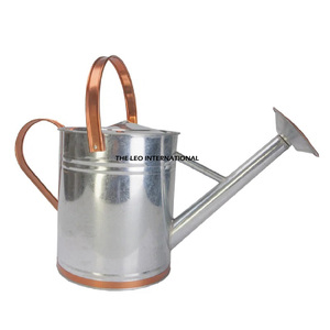Arrosoir décoratif en métal en gros, nouveau, facile à remplir, pour l'arrosage intérieur et extérieur - Product Image 3