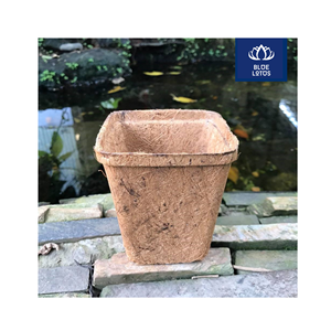 Maceta de Fibra de Coco Ecológica, Segura y Limpia de Alta Calidad, Fibra de Coco Pura, Artículo Biológico Ideal para el Cultivo de Árboles y Germinación, Proveedor Directo - Product Image 1