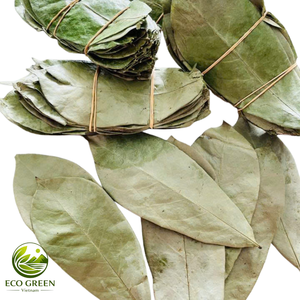 Hojas de Guanábana Secas de Calidad de Exportación, Ingrediente Herbal para Mezclas de Té, Extracto Botánico y Fabricación de Alimentos Saludables - Product Image 1