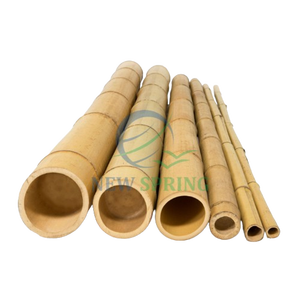 Canes en bambou naturel de qualité supérieure du Vietnam - Robustes et durables pour le jardinage et la clôture - Product Image 1