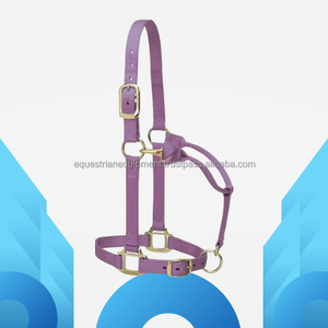 Customizable Brand Black PP Nylon Horse <b>Halter</b> with Gold Buckles and Rings Original Australian Saddle Style Model ESE-HAL-001 - Product Image 3