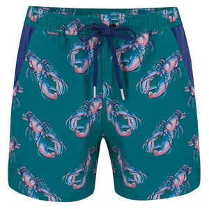Servicio OEM, Shorts de Baño para Hombre, Sublimados, Cintura Elástica, Casuales, Transpirables, de Secado Rápido - Product Image 1