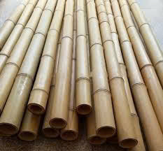 Vietnam Factory Supply Bamboo <b>Poles</b> Bamboo Stake Bamboo Sticks <b>For</b> Plant - Product Image 6
