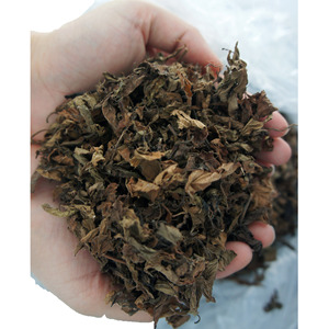 Manufacturer Price Vietnam Origin <b>Dried</b> <b>Grass</b> Jelly Leaf Premium Mesona for Germany Food Service Market Direct Factory Wholesale - Product Image 6