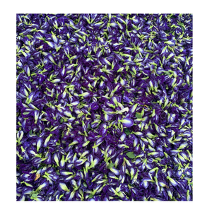 Flores de Guisante Mariposa Secas Naturales para Mezclas de Té, Formulación de Bebidas y Aplicaciones en Alimentos Especiales - Product Image 4