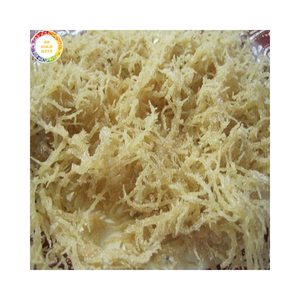 Alga Eucheuma Cottonii Seca, Materia Prima para Carragenano, Alga de Grado Alimenticio, Exportación a Granel desde Vietnam - Product Image 1