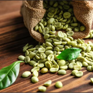 Direct Export Vietnam Specialty Robusta Green Coffee <b>Beans</b> Size 18 High Quality Grade G1/G2 ISO 22000 Certified 1000kg Bags - Product Image 1