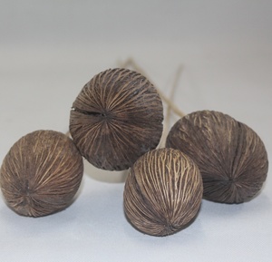 Bouquet décoratif de fleurs séchées Mintola en bâtonnets, matière première végétale naturelle, emballage en vrac pour mariage et décoration intérieure - Product Image 6