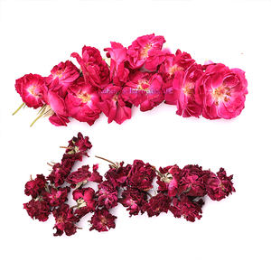 Flor de Rosa Seca |   Flores de Rosa Secas | Imágenes de flores de rosa secas |   Rosa Seca Rosa | Precio por kg de flores de rosa secas | rosas secas frescas - Product Image 4