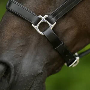 High Quality Customized Hand Made Durable Hybrid Adjustable Brown Leather Horse <b>Halter</b> at Wholesale Manufacture - Product Image 4