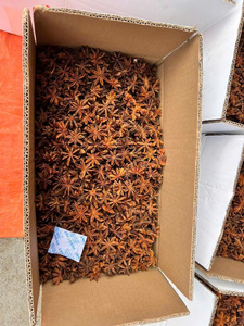 Anis étoilé naturel mélangé séché de qualité supérieure pour épices/potpourri/huiles essentielles, prix abordable - Product Image 3