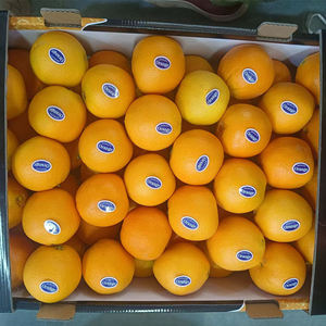 Naranjas Navel y Valencia Frescas Orgánicas Premium |   Grado A |   Cítricos con 12 Meses de Vida Útil, 15 kg, 56 cm, Mejor Precio en Existencia, Baratos - Product Image 1