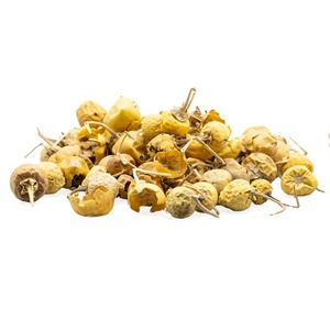 Extrait de plante Kantkari - Product Image 4