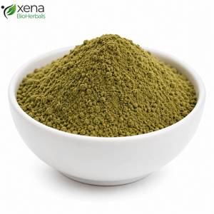 Poudre d'Ocimum Sanctum de Qualité Supérieure, Matière Première Standardisée pour Formules Ayurvédiques, Vente en Gros - Product Image 1