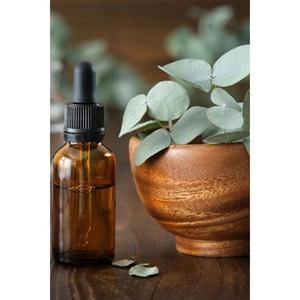 Aceite Esencial de Eucalipto de Alta Gama para Purificación del Aire, Aromatización de Habitaciones y Aplicaciones Naturales para el Cuidado del Hogar a un Precio Económico - Product Image 3