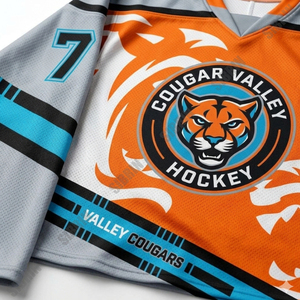 Maillot de hockey personnalisé sublimé de qualité supérieure Sibrin | 100% polyester, nom et numéro d'équipe personnalisés, toutes tailles |   Uniforme de hockey pour jeunes - Product Image 3