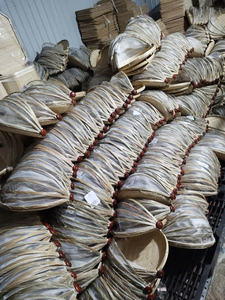 ชามเปลือกมะพร้าวออร์แกนิคทำมือจาก EUTECH 100% เป็นมิตรกับสิ่งแวดล้อม สีน้ำตาลธรรมชาติ ขนาดเส้นผ่านศูนย์กลาง 13-14 ซม. ลึก 6 ซม. กันน้ำ ขัดเงาแล้ว - Product Image 3