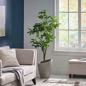 Albero della Fortuna Pachira Artificiale da 63 Pollici, Decorazione Verde per Ufficio, Casa, Soggiorno, Patio, Veranda - Product Image 4