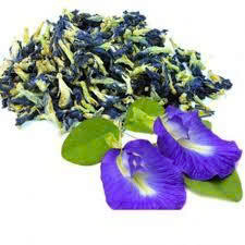Flores de Guisante Mariposa Secas Listas para Suministrar, Pétalos Azules Naturales, Té Herbal Adelgazante, 18 Meses de Vida Útil, Bebida de Vietnam a Granel - Product Image 5