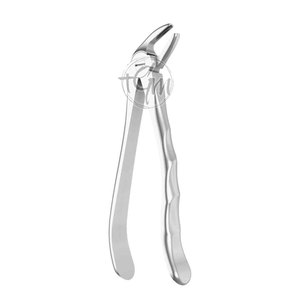 Pinzas de Extracción de Precisión de Acero Inoxidable, Herramienta Dental con Diseño Ergonómico para Procedimientos de Extracción Dental - Product Image 5