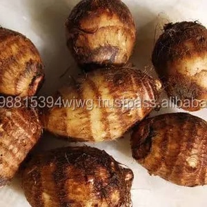 Racine de Taro Congelée IQF, Peau Brune, Pulpe Blanche, Emballage en Vrac, Approvisionnement en Gros - Product Image 3