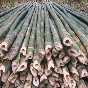 Bâtonnets de bambou naturel KMI pour la fabrication d'encens et la production d'Agarbatti en provenance du Vietnam - Product Image 3