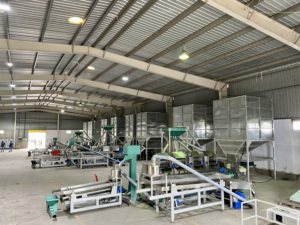 โรงงานแปรรูปเม็ดมะม่วงหิมพานต์ TTQ กำลังการผลิต 30 ตันต่อวัน สายการผลิตเม็ดดิบอัตโนมัติ เกรดอาหาร ไส้ขาว  โฮจิมินห์ซิตี้ 380V 37500W - Product Image 2