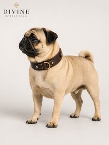 Collier pour chien en cuir naturel pour les marques de vêtements pour animaux de compagnie, fabrication OEM par Divine International - Product Image 4