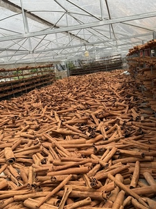 อบเชยไซง่อนธรรมชาติพรีเมียม ผู้ผลิตเวียดนาม จัดส่งส่งออกทั่วโลก - Product Image 2